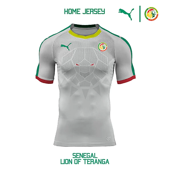 Puma Senegal National Team Home Jersey Concept