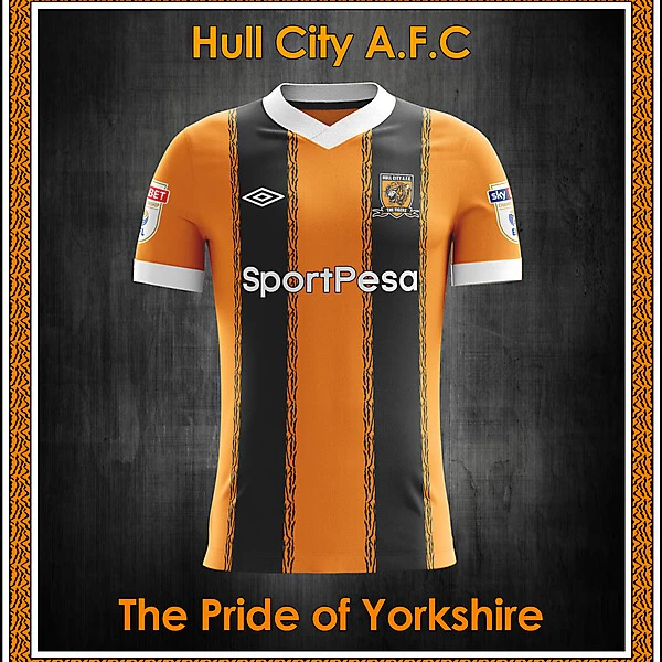 Hull City AFC home concept